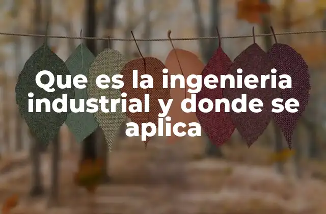 Que es la Ingenieria Industrial y Donde Se Aplica