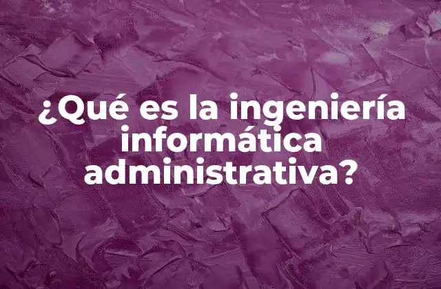 ¿qué es la Ingeniería Informática Administrativa?