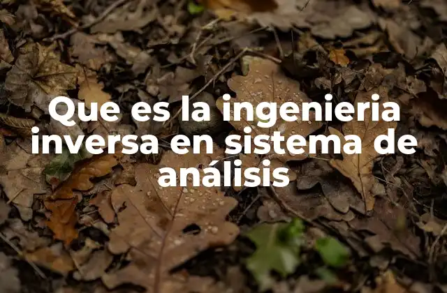 Que es la Ingenieria Inversa en Sistema de Análisis
