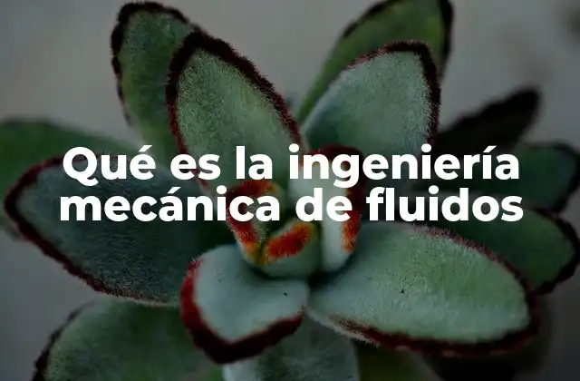 Qué es la Ingeniería Mecánica de Fluidos