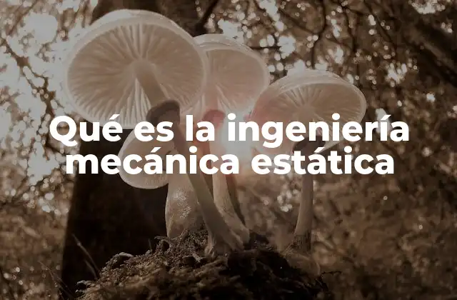 Qué es la Ingeniería Mecánica Estática