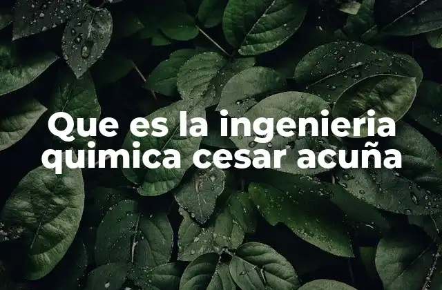 Que es la Ingenieria Quimica Cesar Acuña 2 El rol de la ingeniería química en la industria moderna