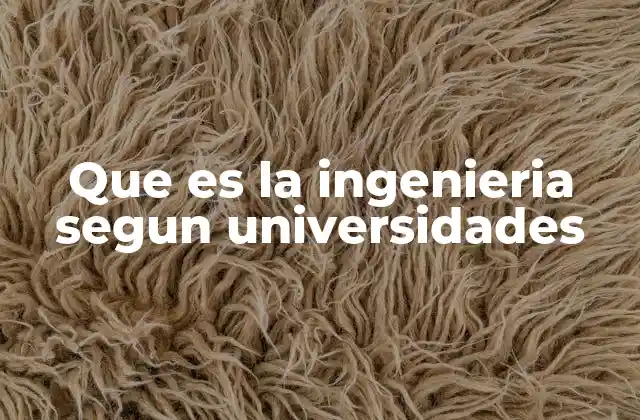 Que es la Ingenieria Segun Universidades