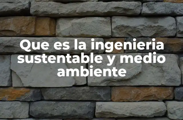 Que es la Ingenieria Sustentable y Medio Ambiente