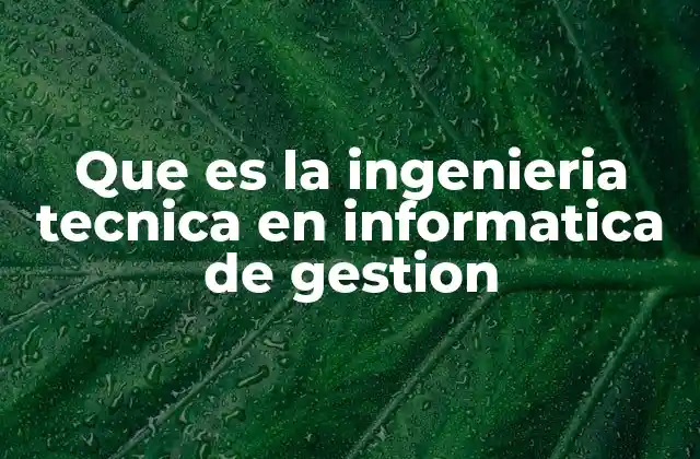 Que es la Ingenieria Tecnica en Informatica de Gestion