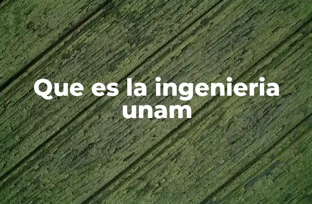 Formación académica en ingeniería en la UNAM