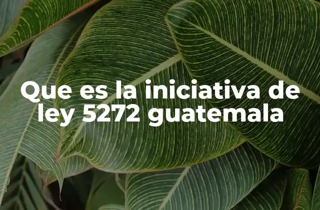 Que es la Iniciativa de Ley 5272 Guatemala