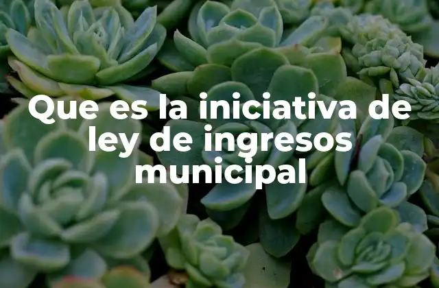 Que es la Iniciativa de Ley de Ingresos Municipal