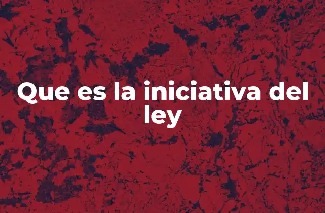 Que es la Iniciativa Del Ley
