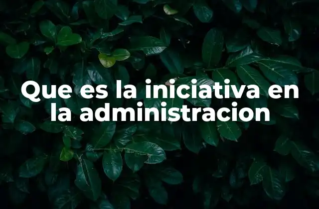 Que es la Iniciativa en la Administracion