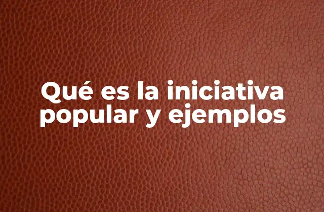 Qué es la Iniciativa Popular y Ejemplos