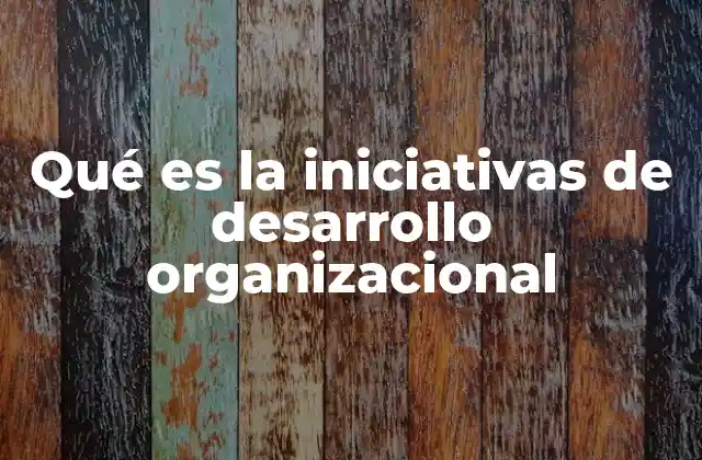 Qué es la Iniciativas de Desarrollo Organizacional