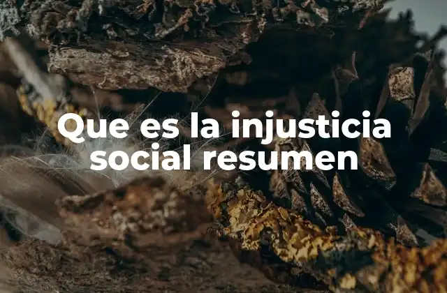 Que es la Injusticia Social Resumen