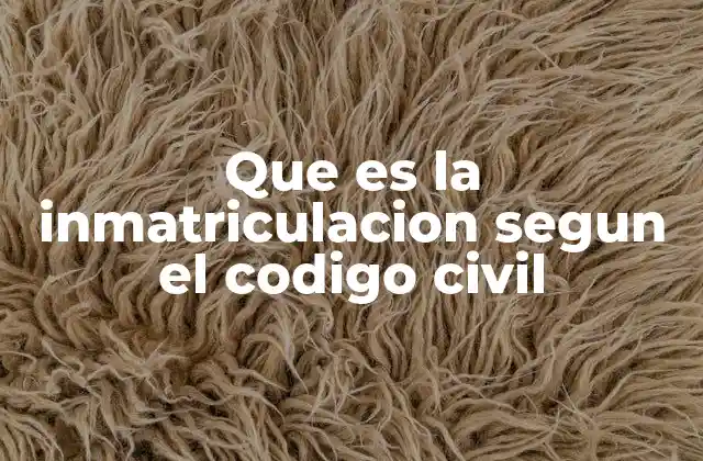 Que es la Inmatriculacion Segun el Codigo Civil