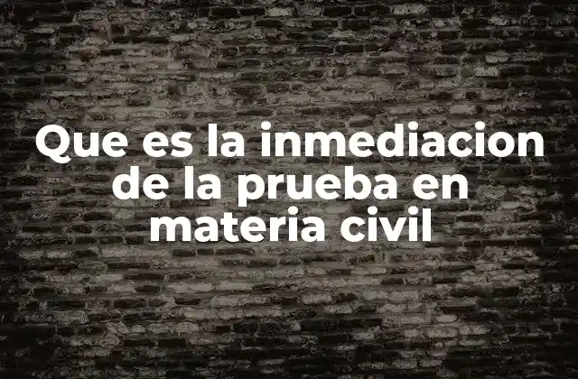 Que es la Inmediacion de la Prueba en Materia Civil