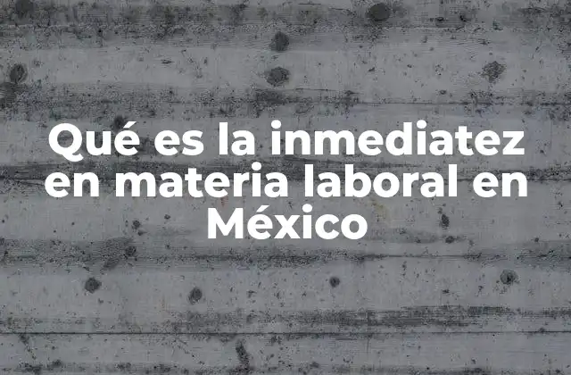 Qué es la Inmediatez en Materia Laboral en México