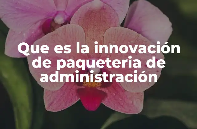 Que es la Innovación de Paqueteria de Administración