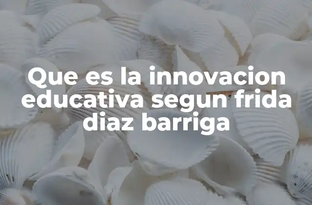 Que es la Innovacion Educativa Segun Frida Diaz Barriga