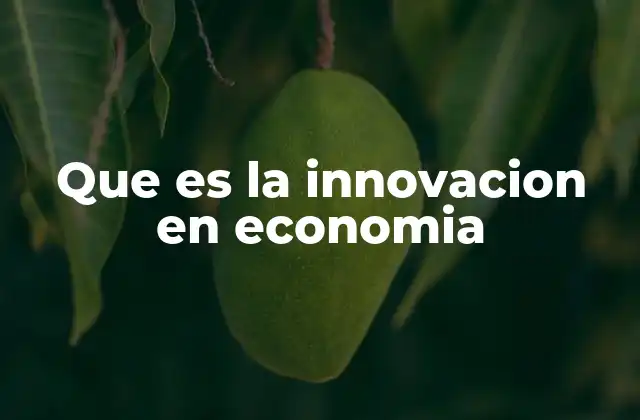 Que es la Innovacion en Economia