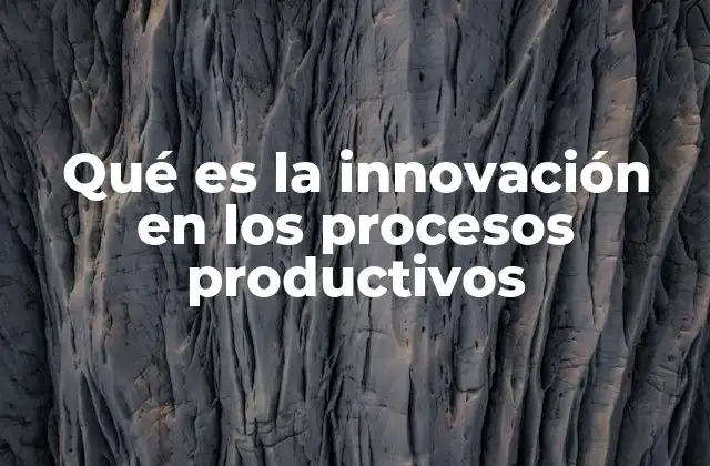 Qué es la Innovación en los Procesos Productivos