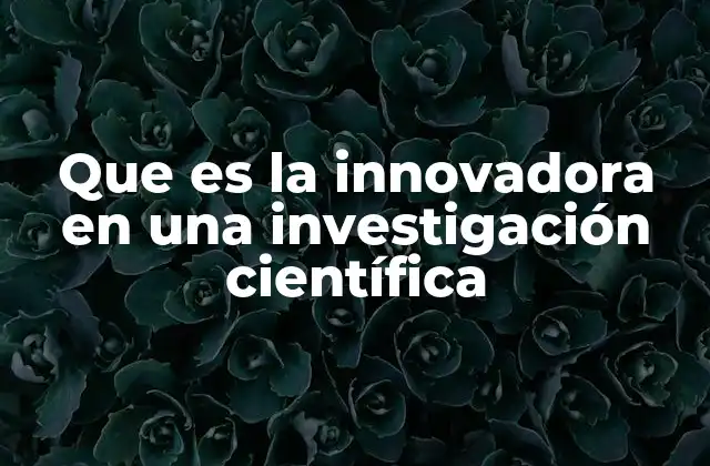 Que es la Innovadora en una Investigación Científica