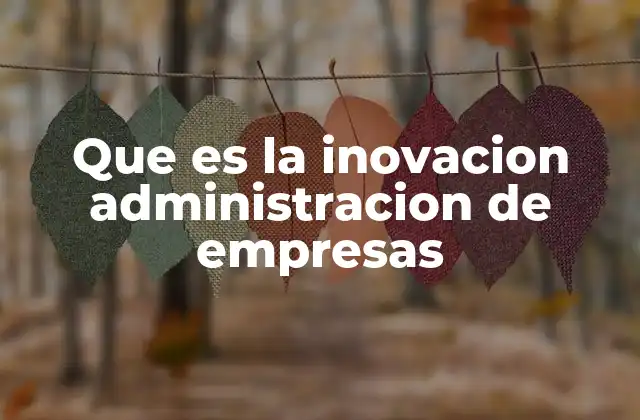 Que es la Inovacion Administracion de Empresas