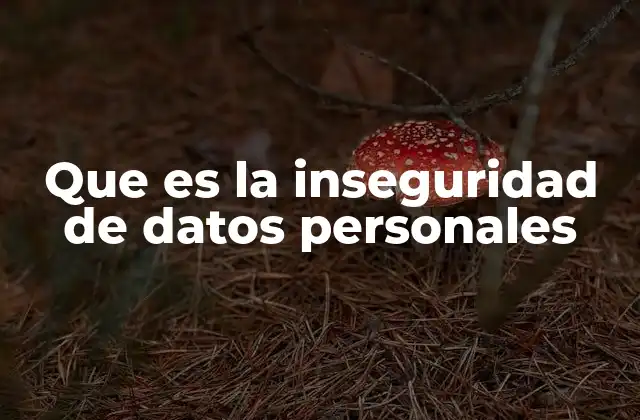 Que es la Inseguridad de Datos Personales 2 El impacto de la inseguridad en la vida cotidiana