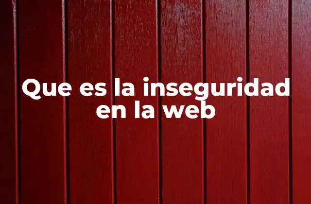 Que es la Inseguridad en la Web