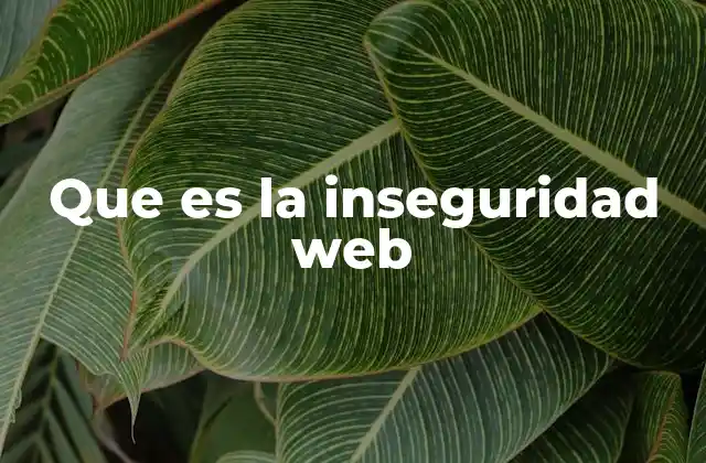 Que es la Inseguridad Web
