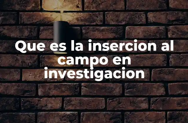 Que es la Insercion Al Campo en Investigacion