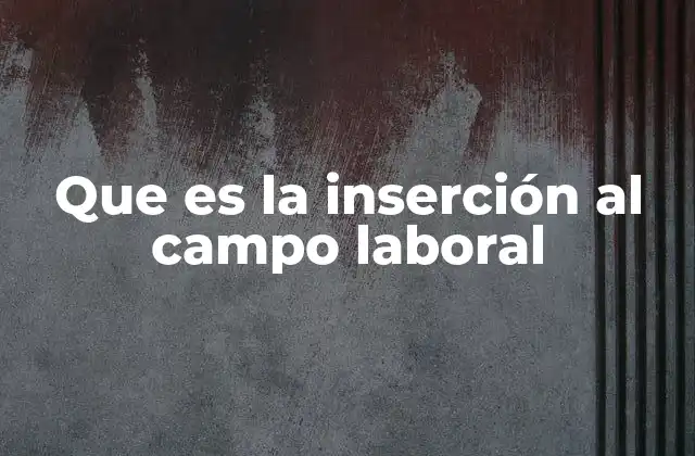 Que es la Inserción Al Campo Laboral