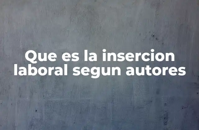 Que es la Insercion Laboral Segun Autores