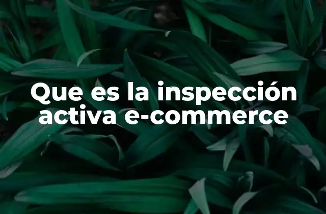 Que es la Inspección Activa E-commerce