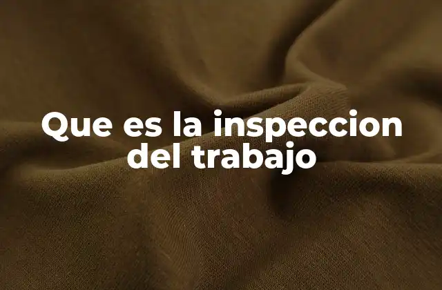 Que es la Inspeccion Del Trabajo
