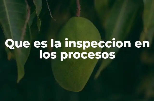 Que es la Inspeccion en los Procesos