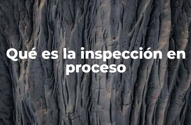 Qué es la Inspección en Proceso