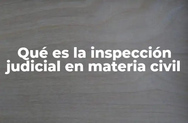 Qué es la Inspección Judicial en Materia Civil