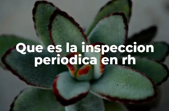Que es la Inspeccion Periodica en Rh