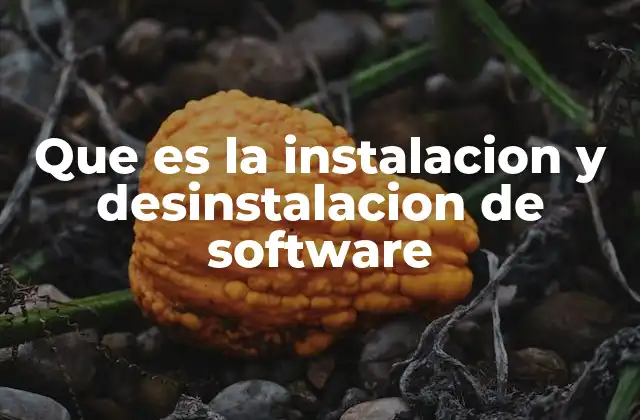 Que es la Instalacion y Desinstalacion de Software