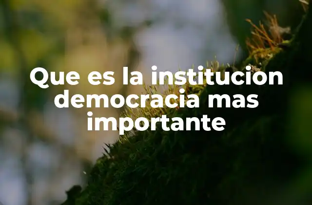 Que es la Institucion Democracia mas Importante 2 El corazón del sistema democrático