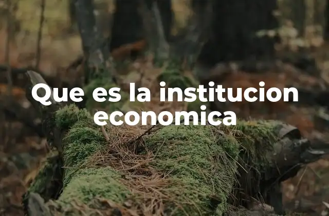 Que es la Institucion Economica