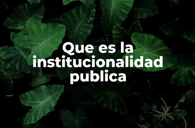 Que es la Institucionalidad Publica