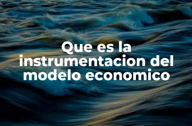 Que es la Instrumentacion Del Modelo Economico