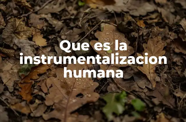 Que es la Instrumentalizacion Humana