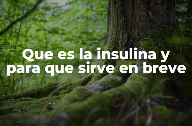 El papel de la insulina en el metabolismo de la glucosa
