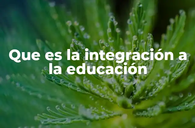 Que es la Integración a la Educación 2 La importancia de un sistema educativo inclusivo