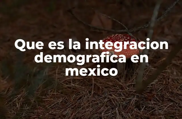 Que es la Integracion Demografica en Mexico