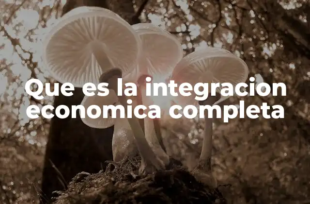 Que es la Integracion Economica Completa 2 La evolución de las formas de integración económica