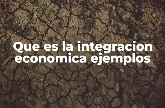 Que es la Integracion Economica Ejemplos