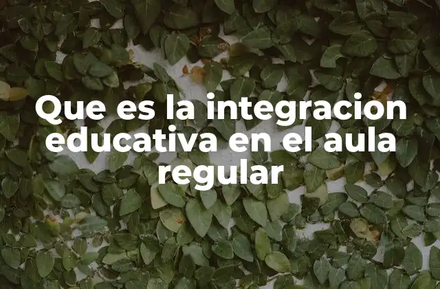 Que es la Integracion Educativa en el Aula Regular